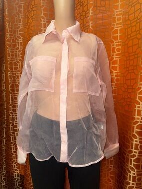 Rachel Zoe Pink Sheer Button Up Blouse Medium Chic Lightweight Top